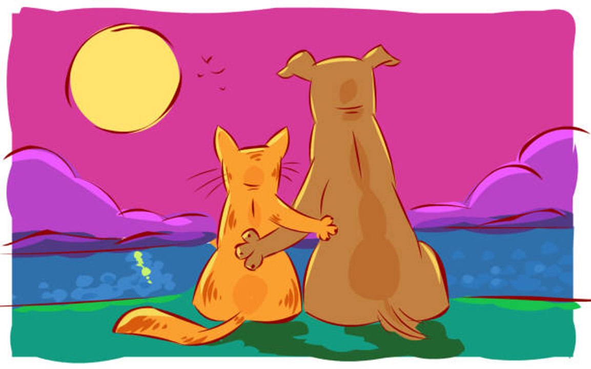 How to Make Sure Cats and Dogs Get Along in 6 Tricks
