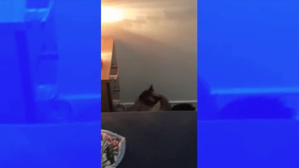 Cette jeune femme a découvert pourquoi elle ratait son réveil tous les matins et c’est hilarant