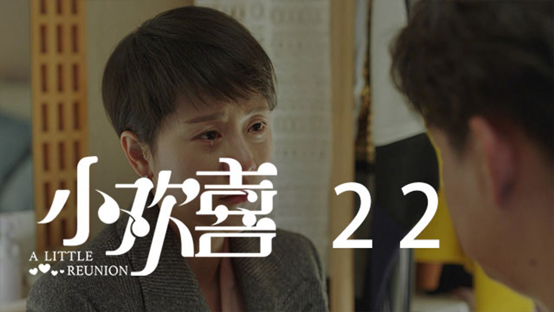 小欢喜第49集在线看 西瓜视频搜索