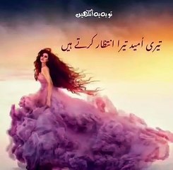تیری اُمید تیرا انتظار کرتے ہیں_اے صنم ہم تو صرف تم سے پیار کرتے ہیں