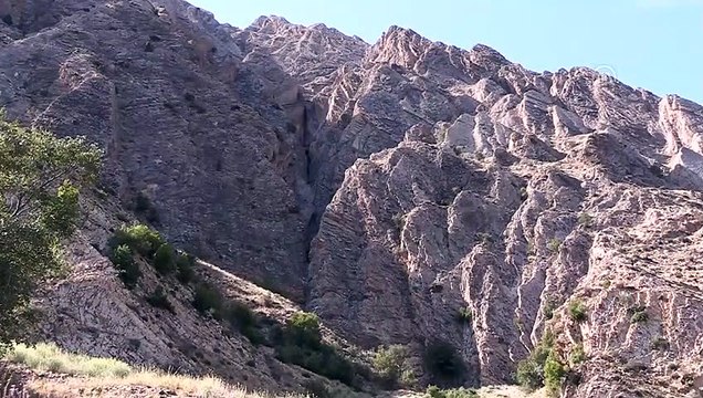 Koruma altındaki yaban keçileri yavrularıyla görüntülendi - ERZURUM