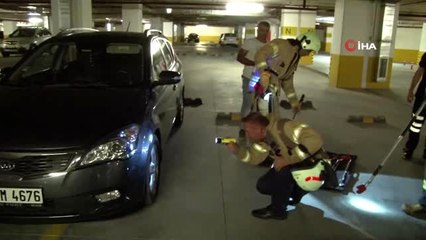 Beylikdüzü'nde lüks sitede yılan paniği