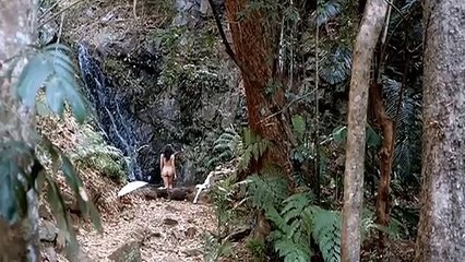 Romantic Movies scene -phim hay nhất