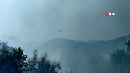 Milas'ta orman yangını