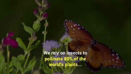 This Video Might Just Make Your Skin Crawl...Hopefully