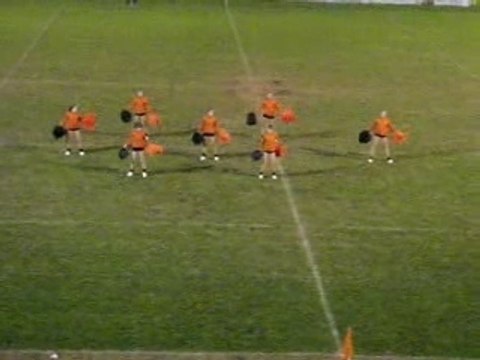 Pompoms girls de Castres à Albi