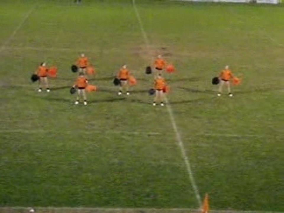 Pompoms girls de Castres à Albi