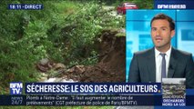 Sécheresse: le SOS des agriculteurs