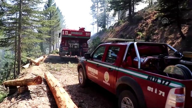 Pozantı'da orman yangını - ADANA