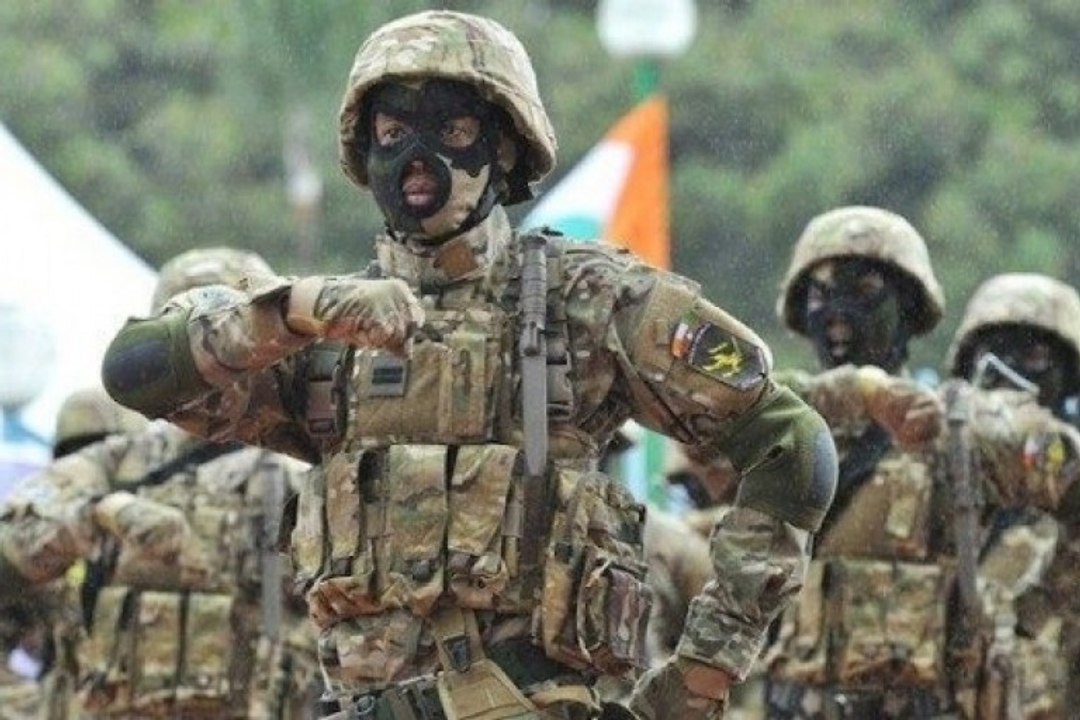 Côte d'Ivoire: Le défilé militaire du 7 août 2019 à l'occasion de la fête de l'Indépendance