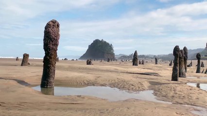 Apple ASMR — Whispers from Ghost Forest — Shot on iPhone