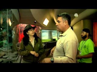 Desde el Zoológico: Herpetario