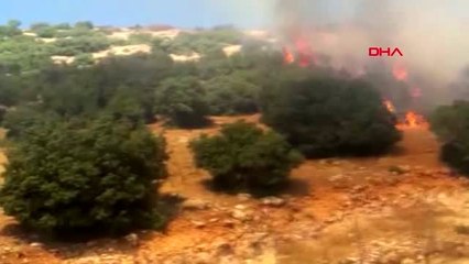 Gaziantep'te ormanlık alanda yangın
