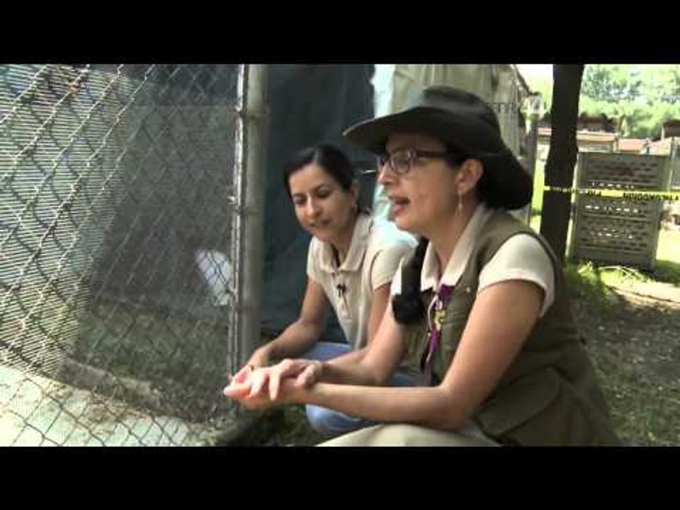 Desde el Zoológico: Plantas del Zoológico de Guadalajara