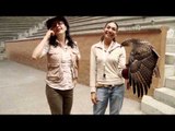Desde el Zoológico: Aves Rapaces y Carroñeras