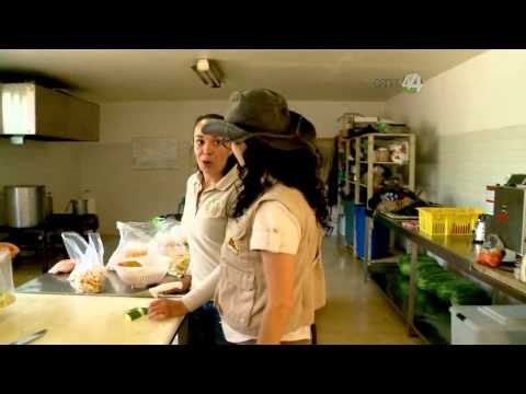 Desde el Zoológico: ¿Qué comen los animales del Zoo?