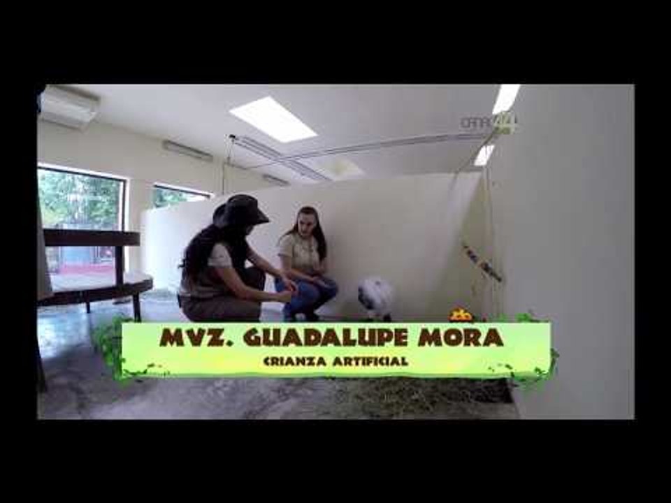 Desde el Zoológico: ¡Con nueva imagen en el Zoológico!