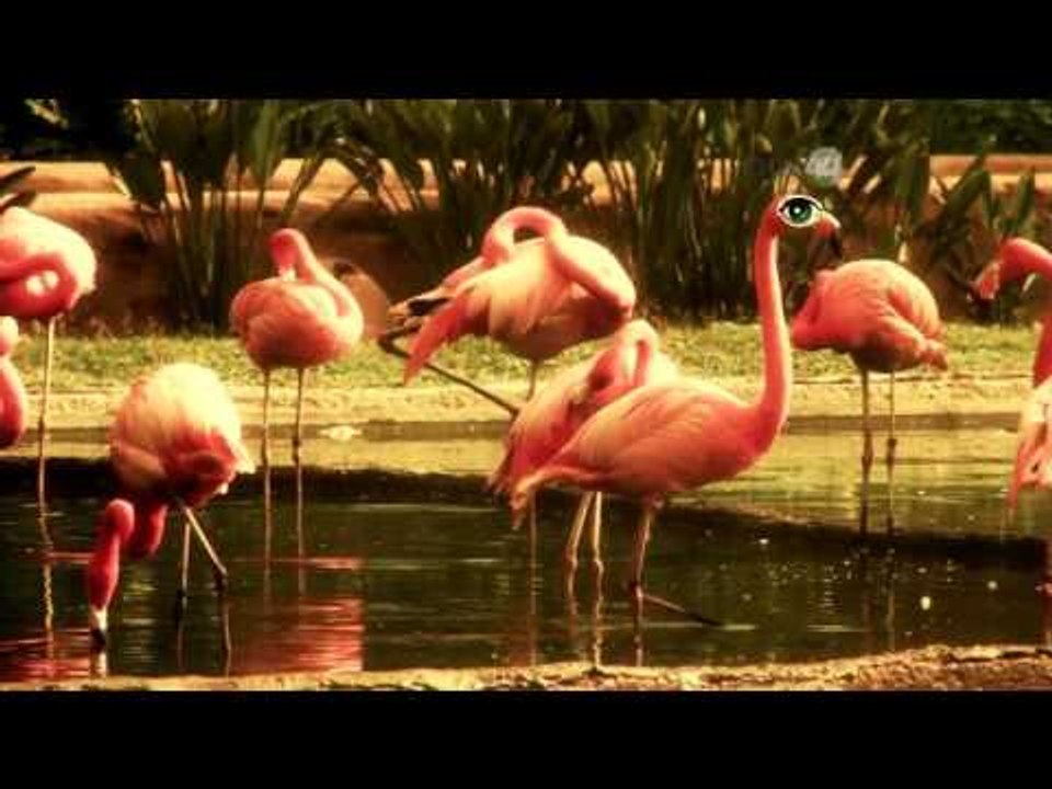 Desde el Zoológico: De paseo en el herpetario del Zoo GDL