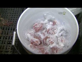 Desde el Zoológico: Especial Sexto Aniversario