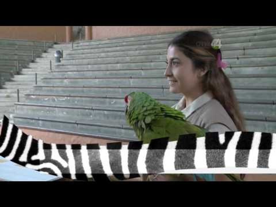 Desde el Zoológico: Estrellas del espectáculo del Zoo Guadalajara