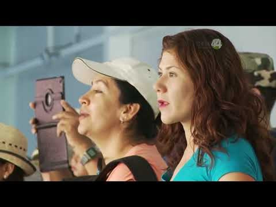 Desde el Zoológico: Nacen pingüinos en el Zoológico Guadalajara