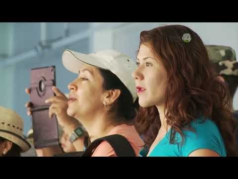 Desde el Zoológico: Nacen pingüinos en el Zoológico Guadalajara