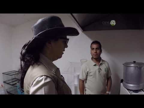 Desde el Zoológico: Alimentando a los animales del acuario