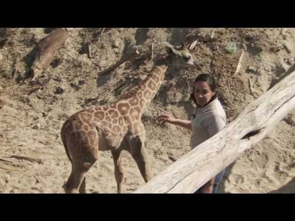 Desde el Zoológico: Peques de Abril