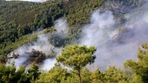 Milas'ta 6 hektar ormanlık alan zarar gördü