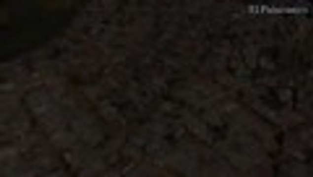 Video: radiografía a la zona de ladera de Cali, terrenos en manos de la invasión