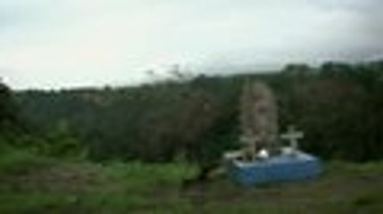 Red Bull Chasing Waterfalls