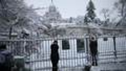 Entusiasmo y frustración por la mayor nevada en París en décadas