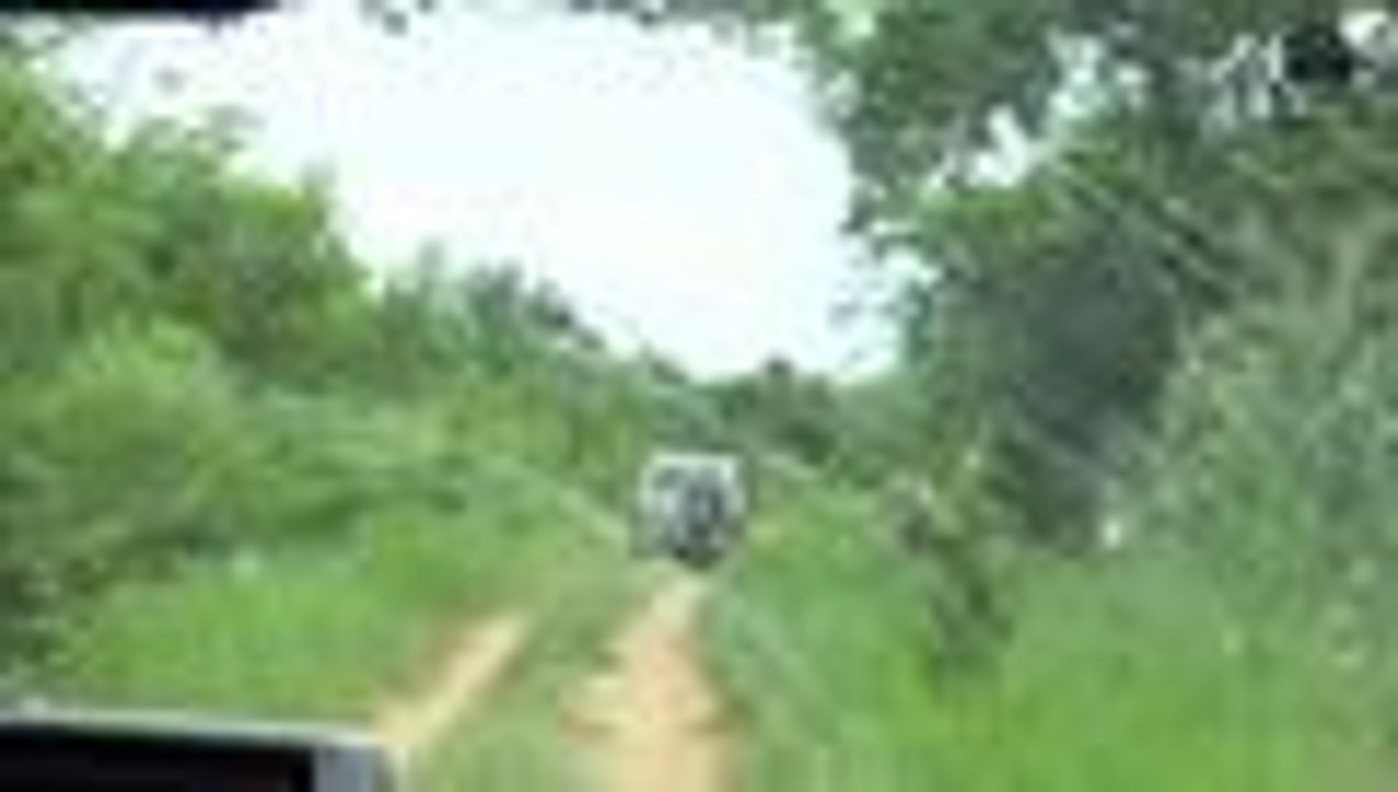 Primeras imágenes de la liberación de soldados secuestrados por el ELN