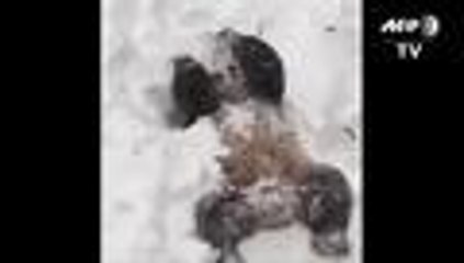 Este fue el 'gran show' de la tormenta de nieve en Estados Unidos