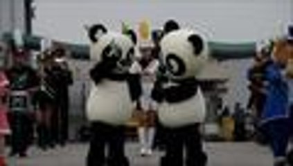 Aibao y Lebao, la pareja de pandas que fueron recibidos con honores en Corea del Sur