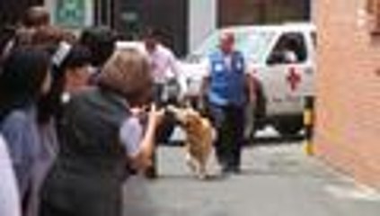 En video: as√≠ fue el recibimiento a Roger y a Lenox tras labor humanitaria en Ecuador