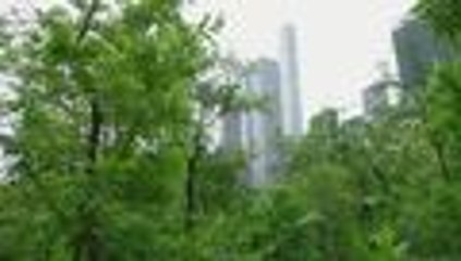 Central Park reabre un santuario secreto cerrado durante 80 años