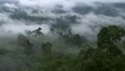 Propal en pro del planeta