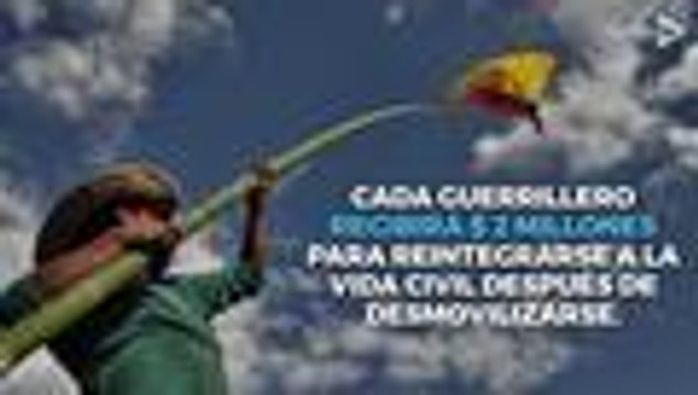 ¬øCu√°nta plata recibir√°n los desmovilizados de las Farc? Se lo explicamos en 90 segundos