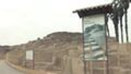 En video: descubren cementerio prehispánico de perros y humanos en Perú