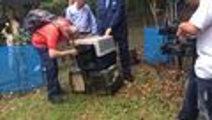 En video: CVC libera animales v√≠ctimas de tr√°fico animal en Pance