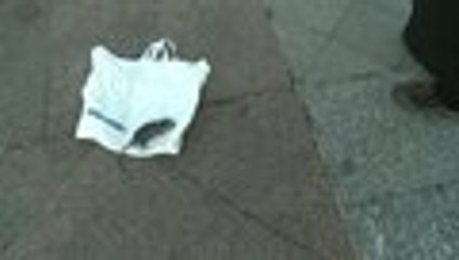 París, ¿a merced de las ratas?