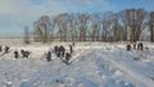 El avión siniestrado en Moscú explotó tras chocar con la tierra