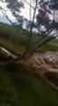 En video: ruptura de dique amenaza cultivos y predios en zona rural de El Cerrito