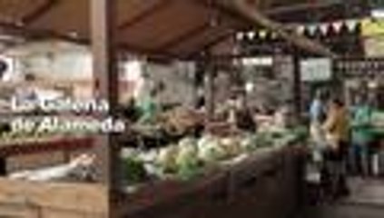 GALERIA LA ALAMEDA- CALI SE VE