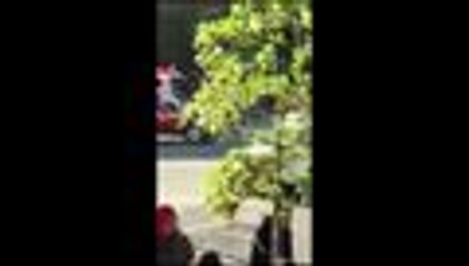 Al menos seis muertos por atropello múltiple en Manhattan