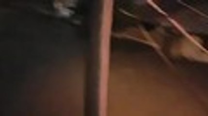 Desbordamiento del río Paila tiene en alerta a Corinto, Cauca