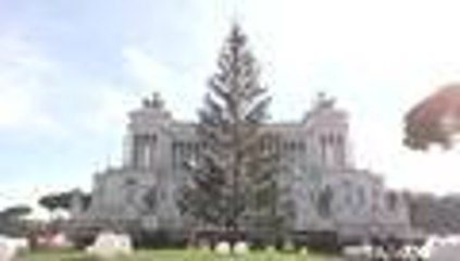 Conozca cómo fue el triste final del árbol que prendía la Navidad en Roma