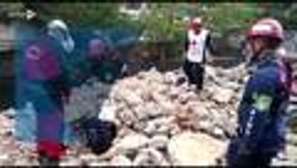 Curso internacional de busqueda y detección canina Bomberos Cali