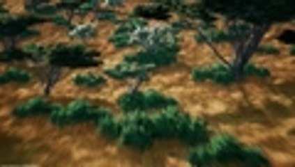 En video El Homo naledi, el misterioso eslabón de la evolución humana